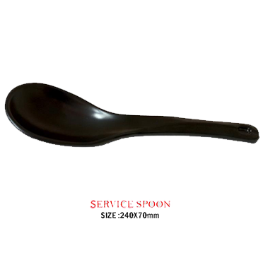 Service Spoon